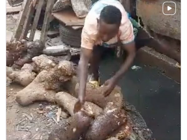 WATCH: Seller Caught Preserving Yam Tubers inside Gutter in Lagos