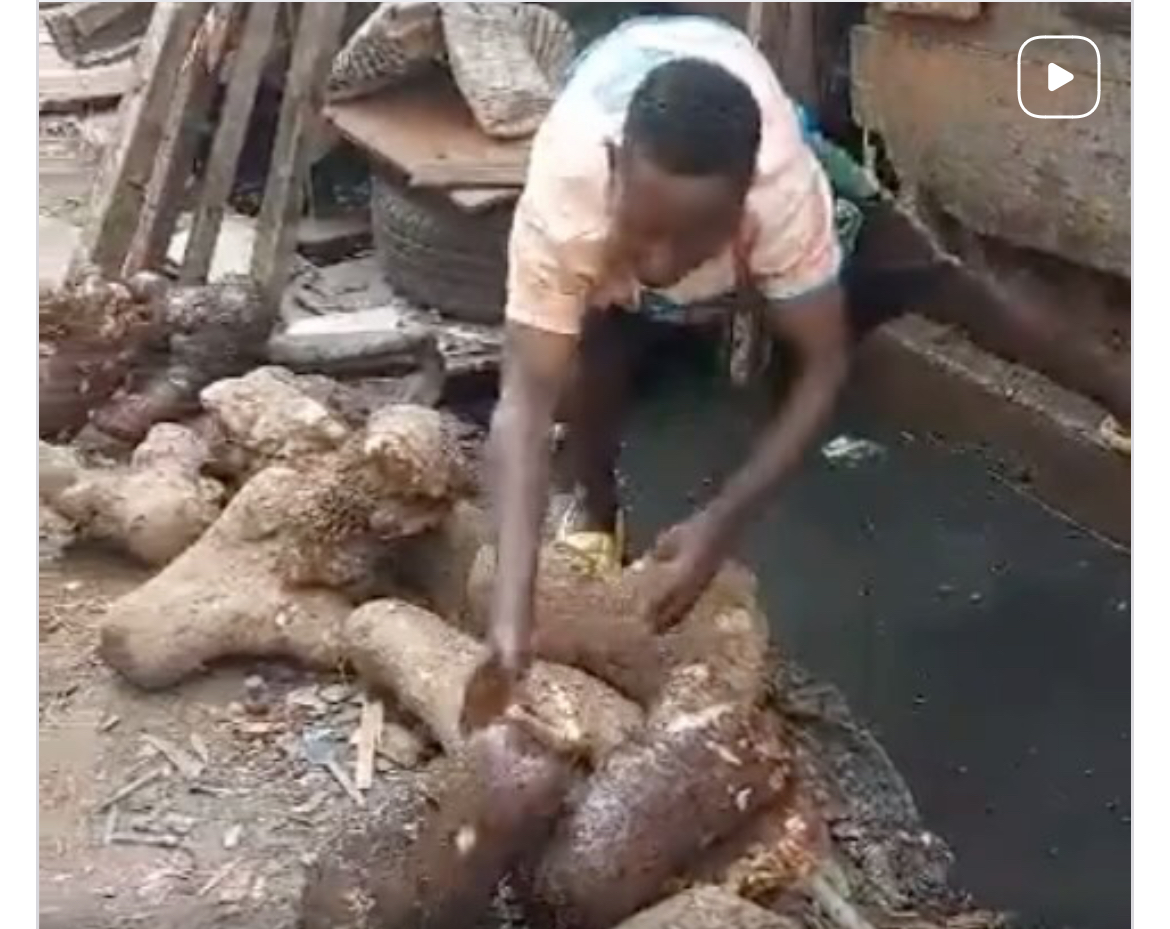 WATCH: Seller Caught Preserving Yam Tubers inside Gutter in Lagos