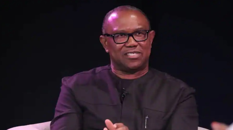 2027: “Peter Obi Won’t Get LP Presidential Ticket”-Abure