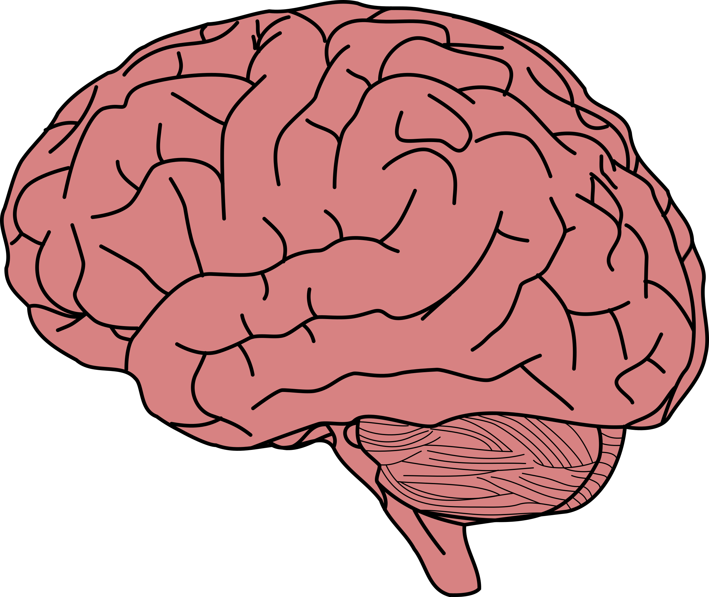 How Well Is Your Brain Doing? A New Scorecard Can Help You Find Out