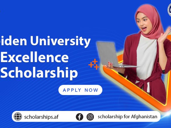 Leiden University Excellence Scholarship 2025: Prestigious Opportunity for Outstanding Master’s Students