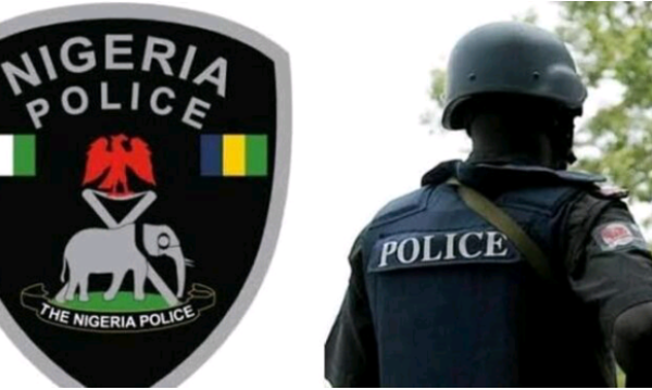 Police detain man for murder of own newborn in Adamawa