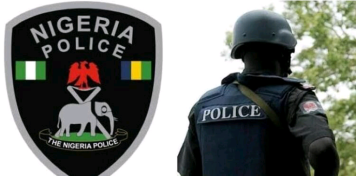 Police detain man for murder of own newborn in Adamawa