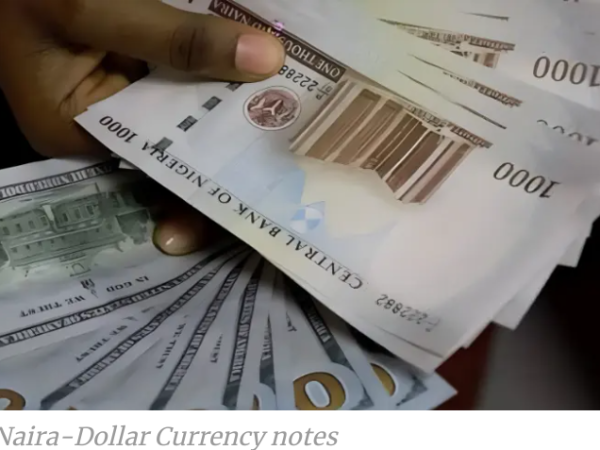 Naira may sell for ₦2000 per dollar in 2025