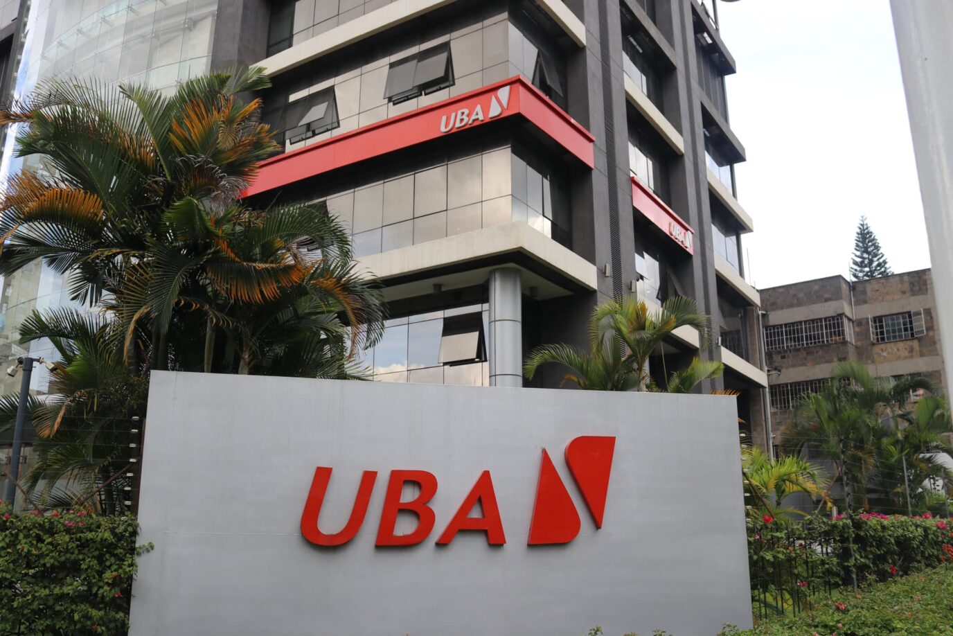 APPLY: UBA announces programme to empower MSMEs with wealth management strategies